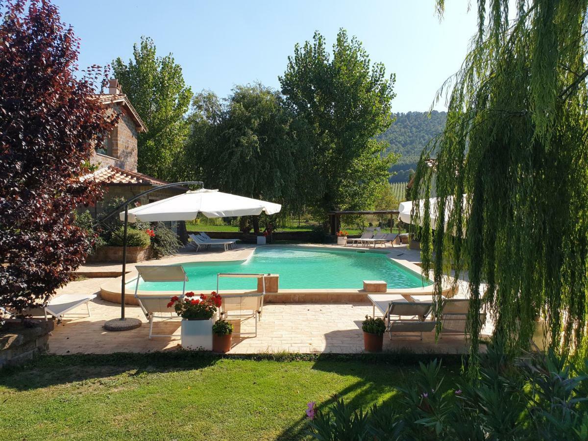 Palazzo Ricca Guarducci 2 Apartment Montefiascone Ngoại thất bức ảnh